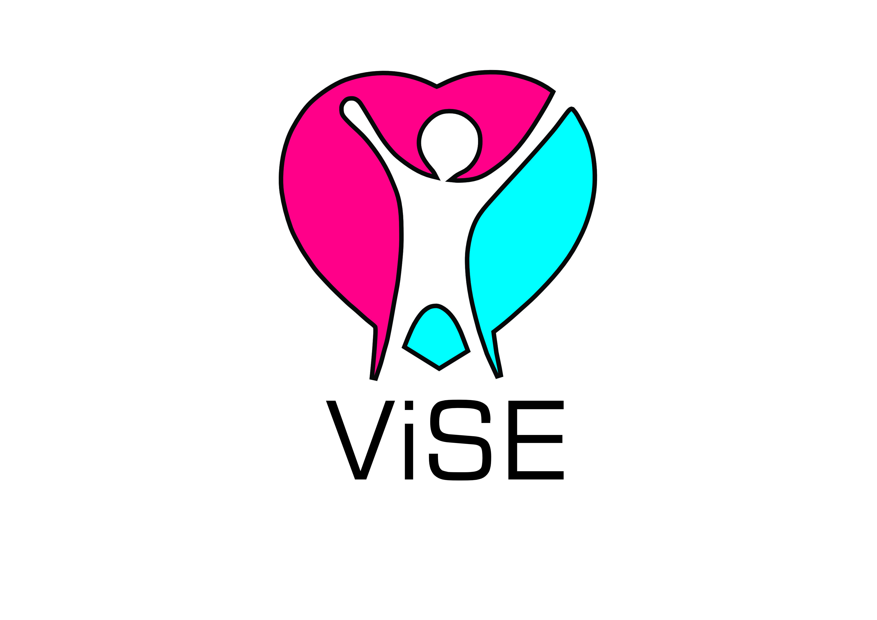 Logo ViseMT